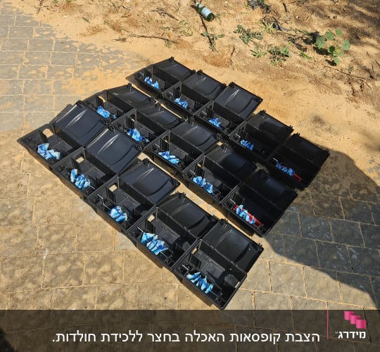 מלכודות שחורות עם פיתיונות כחולים על הקרקע